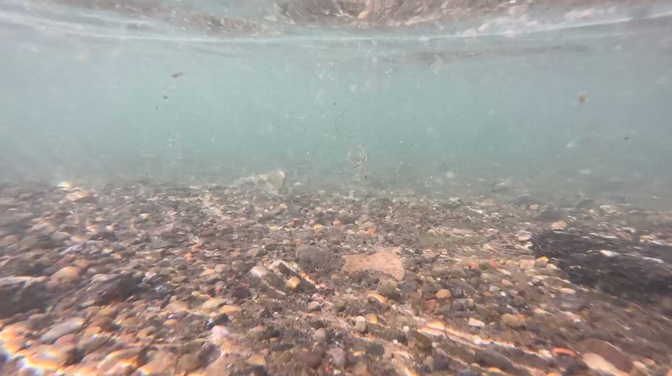 Lake Erie Home to microplastics